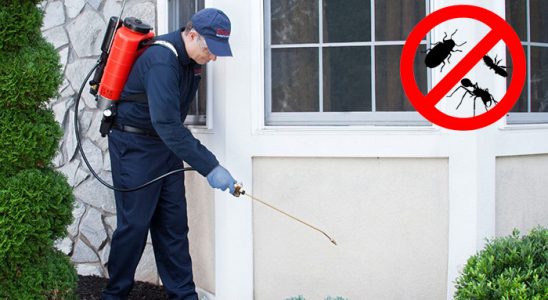 Karabağlar Gümüşkurt İlaçlama böcek ilaçlama ve haşere kontrolü — ilaclama-tr.com